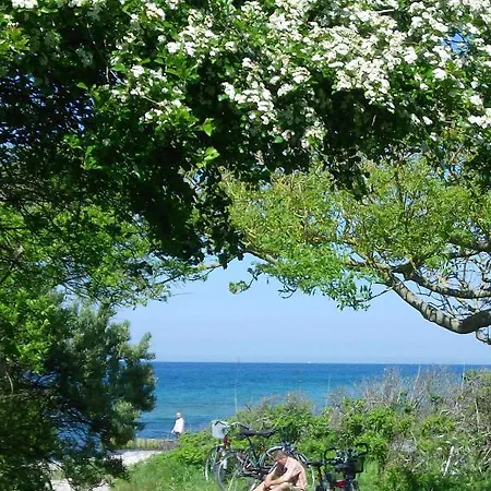 凯撒奥斯特西普尔酒店 3* Börgerende-Rethwisch